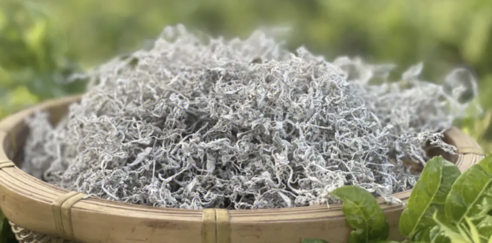 莓茶是什么？莓茶哪个牌子最正宗？