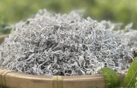 莓茶是什么？莓茶哪个牌子最正宗？