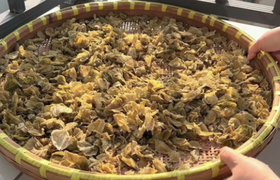 鸡内金的作用与功效，附应用方法与禁忌详述
