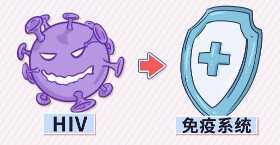 口交可能感染艾滋病吗？艾滋病的三大传播途径