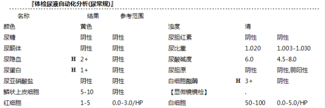 肌酐、尿素、尿酸——肾功能的“三大警报器”！一文教你读懂背后含义
