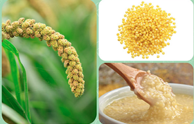 养胃吃什么好？十大养胃食物推荐