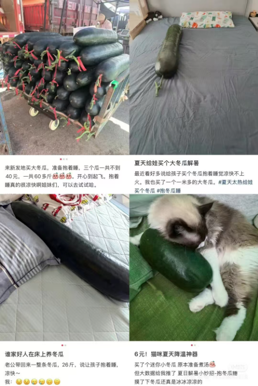 降温、消暑——抱着冬瓜睡觉的好处和坏处