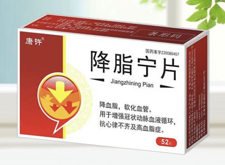 降脂宁片适合哪些人？功效、用法与注意事项全解析