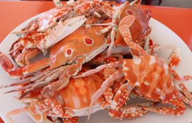 活螃蟹怎么保存过夜