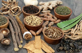 治癌症最好的草药