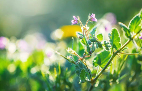 怎么预防春季传染病