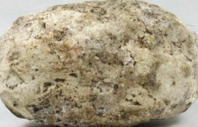 龙涎香的功效与作用