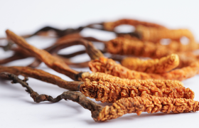 三参金虫草胶囊怎么样