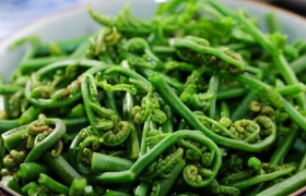 蕨菜的功效作用及危害 吃蕨菜过敏了怎么办