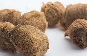 桑螵蛸是什么有什么作用