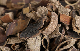 救必应是什么，有什么作用？