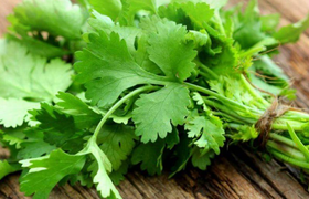 香菜的功效与作用禁忌
