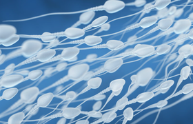 男性精子检查标准