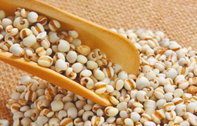 薏苡仁的功效与作用及食用方法