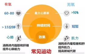 有氧运动和无氧运动的区别