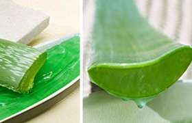 芦荟的功效与作用