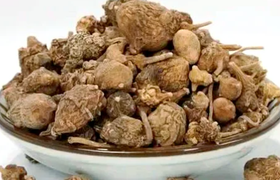 珠子参是什么，有什么作用