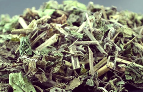 支气管扩张的中药药方有哪些