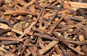 钩藤的功效与作用