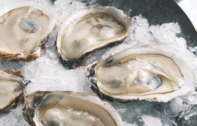 海蛎子的营养价值