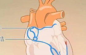 窦性心律正常吗