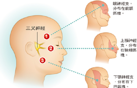 检查面部神经挂什么科