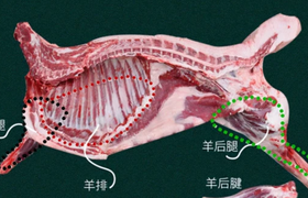 羊后腿肉_羊后腿肉的功效和作用_羊后腿肉的营养价值