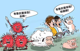 布鲁氏菌病是什么病