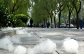 柳絮过敏脸痒怎么办