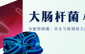 大肠杆菌病是什么