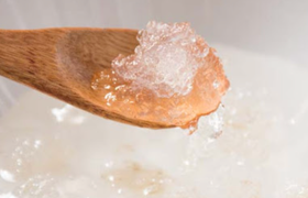 雪燕是什么东西 有什么功效